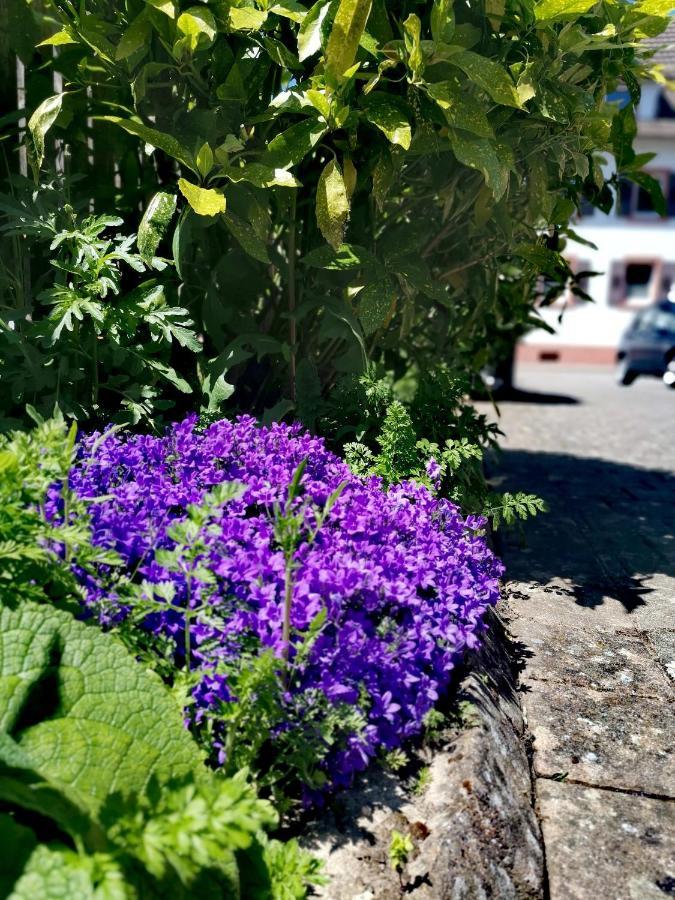 Ferienwohnung Lavanda Руст Экстерьер фото