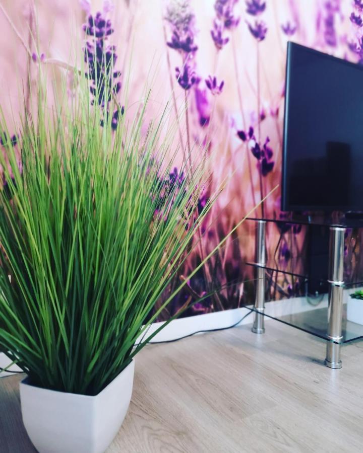 Ferienwohnung Lavanda Руст Экстерьер фото